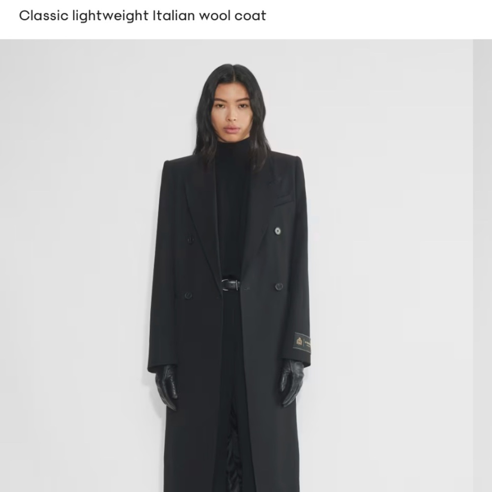 Aritzia Babaton Italian Wool Coat